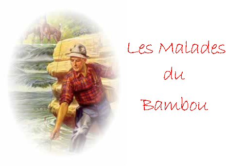 Forum Les Malades du Bambou